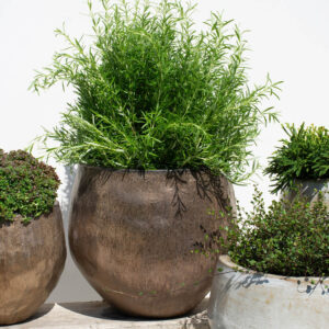 Glazed Organic round pot